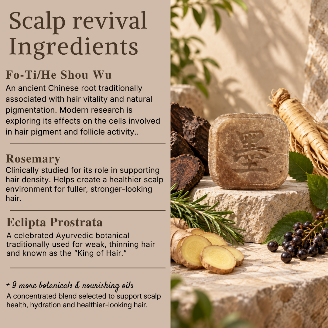 Scalp Revival Shampoo Bar